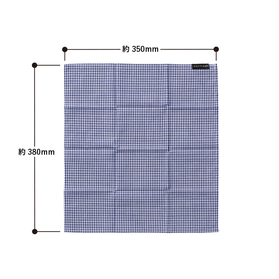 【アウトレット】MOTTERUポケスク　ハンカチ　ギンガムチェック