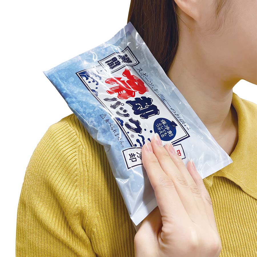 瞬間冷却パック ラージ
