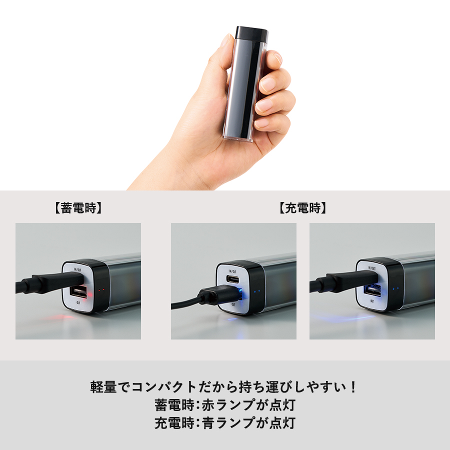 カスタムデザインチャージャー2200　Type-C対応