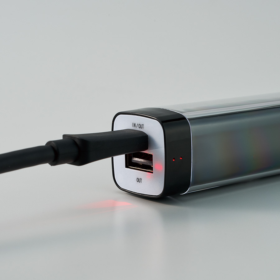 カスタムデザインチャージャー2200　Type-C対応