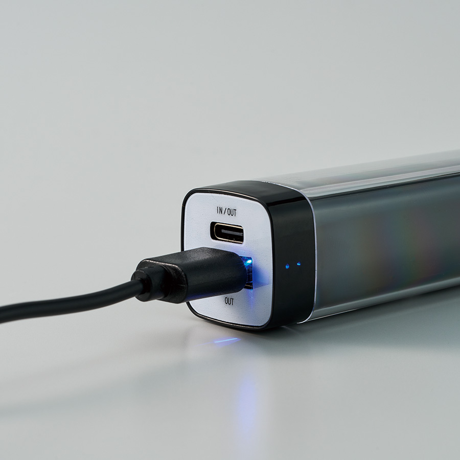 カスタムデザインチャージャー2200　Type-C対応