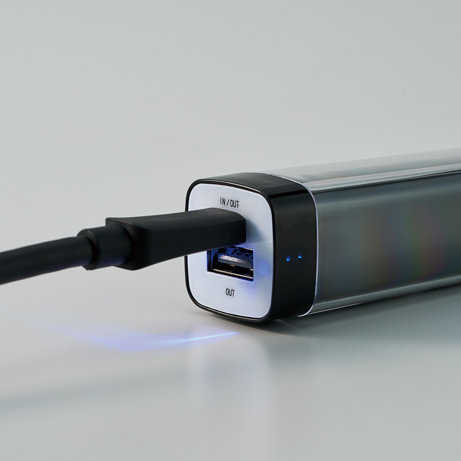 カスタムデザインチャージャー2200　Type-C対応