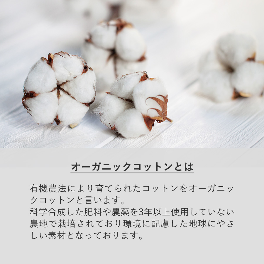 フェアトレードコットンスクエア保冷トート（M）