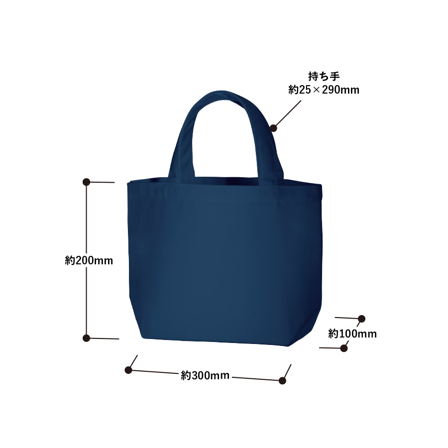 【アウトレット】ポリキャンバストート（S）