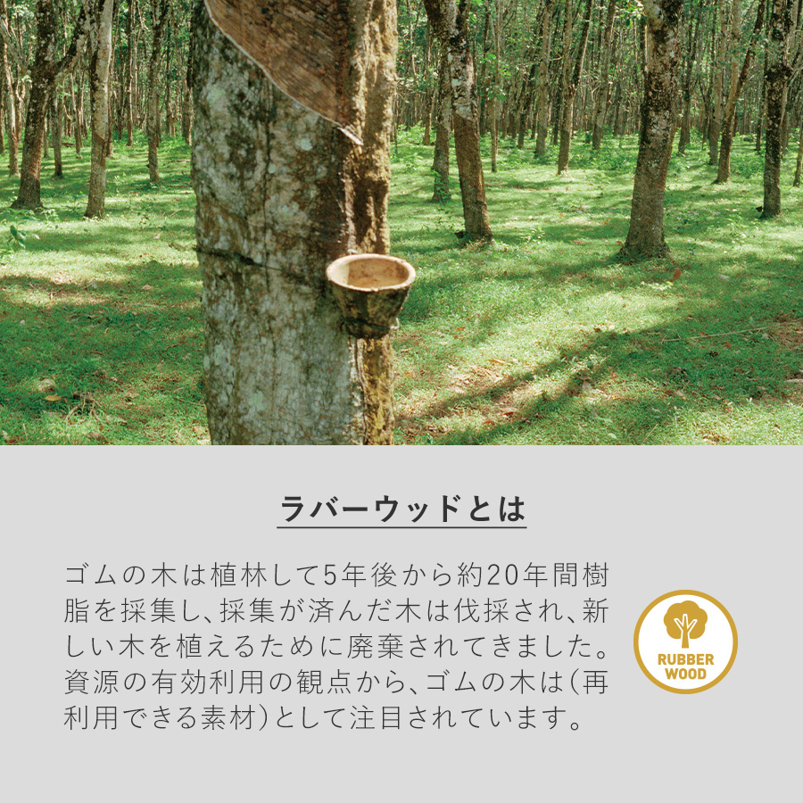 ラバーウッドコーナーフォトスタンド