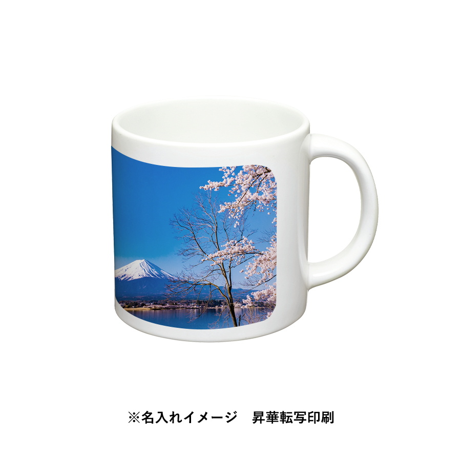 陶器マグストレート（S＋）