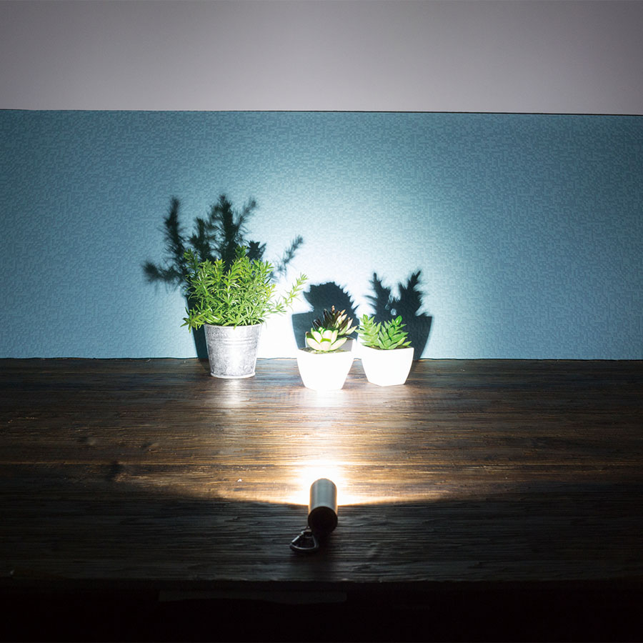 LED９灯カラビナ付ライト　スムース