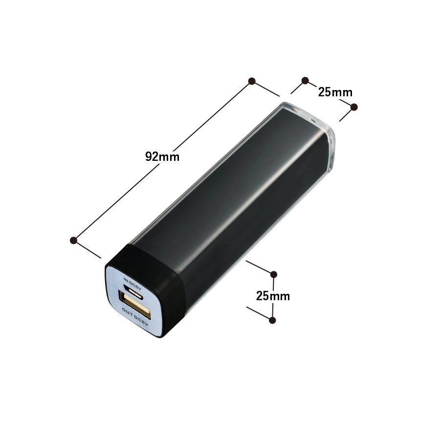 カスタムデザインチャージャー2200
