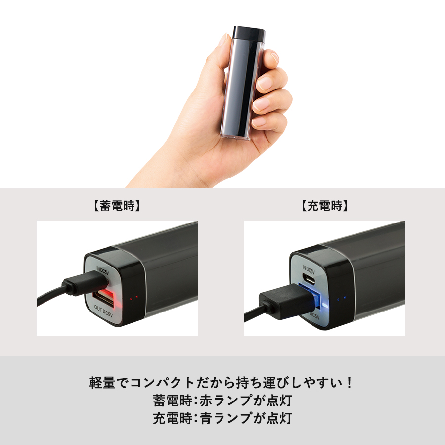 カスタムデザインチャージャー2200