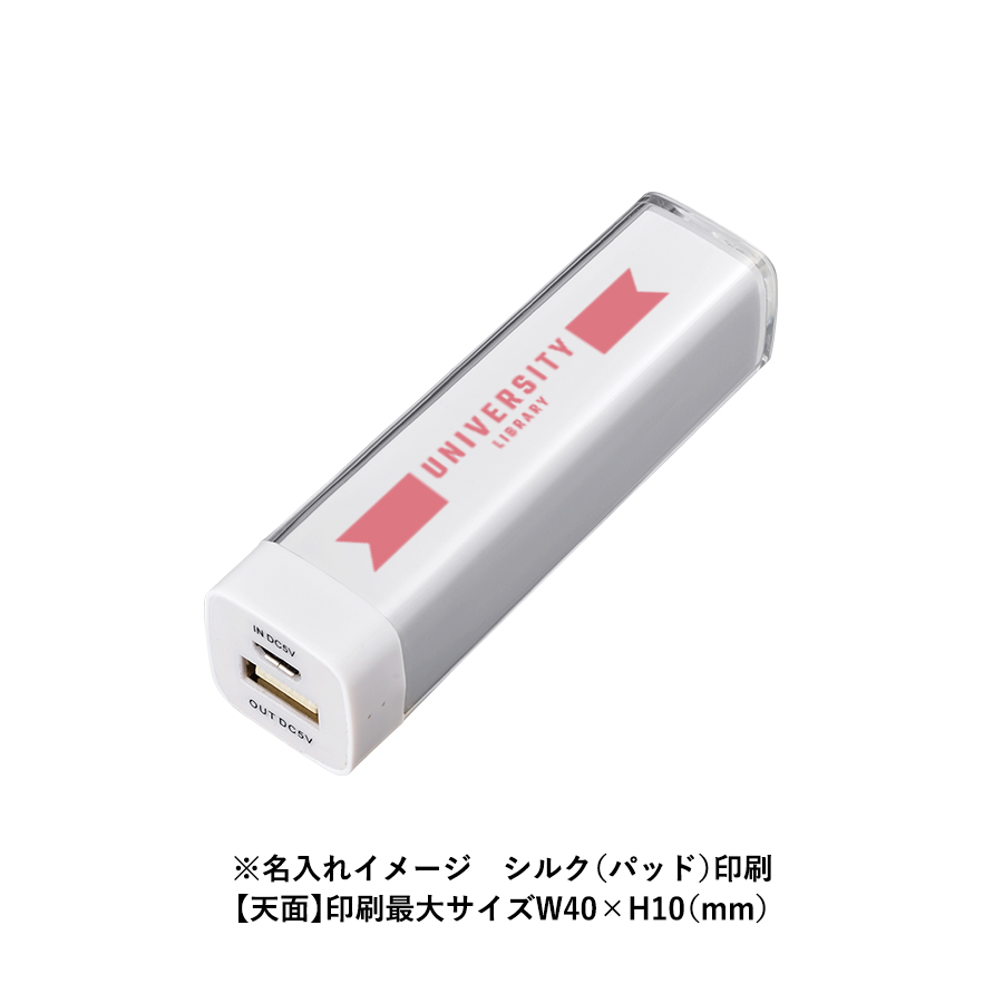 カスタムデザインチャージャー2200