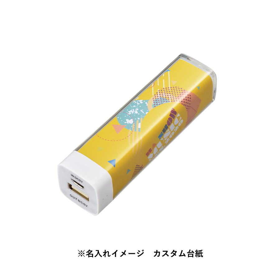 カスタムデザインチャージャー2200