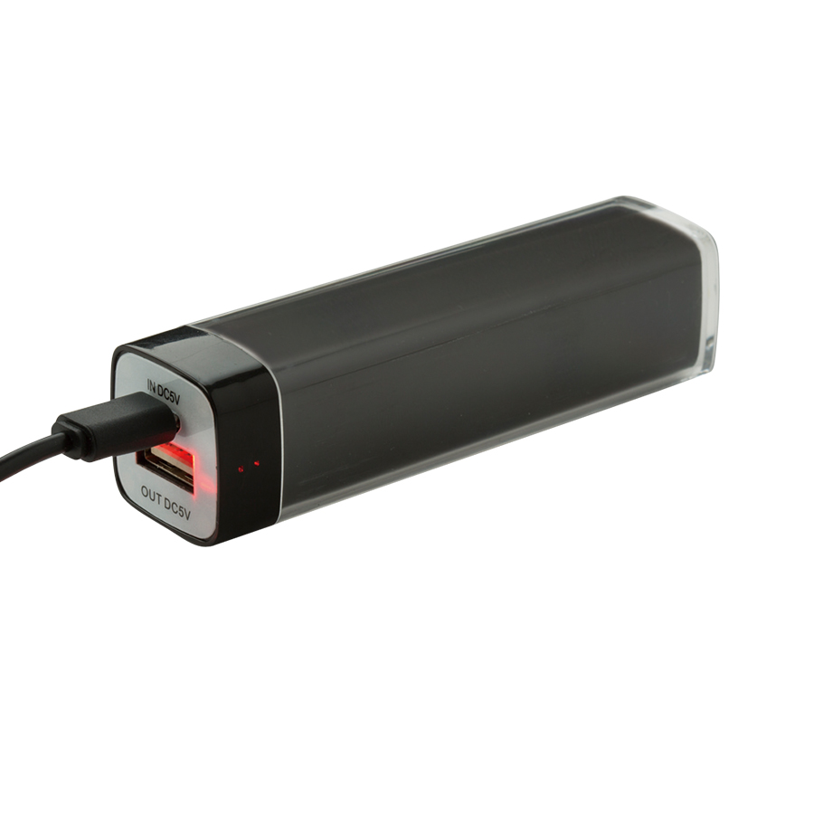 カスタムデザインチャージャー2200