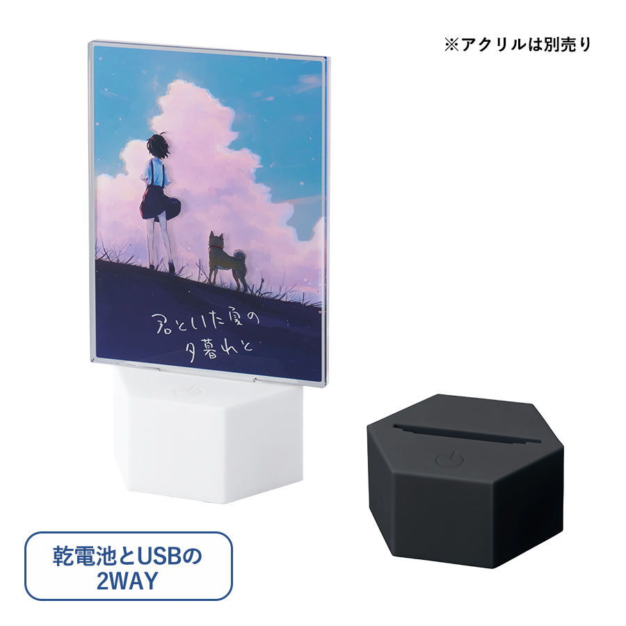 TS-1829【アウトレット】ライティングスタンドラージ　六角（アクリル板対応）