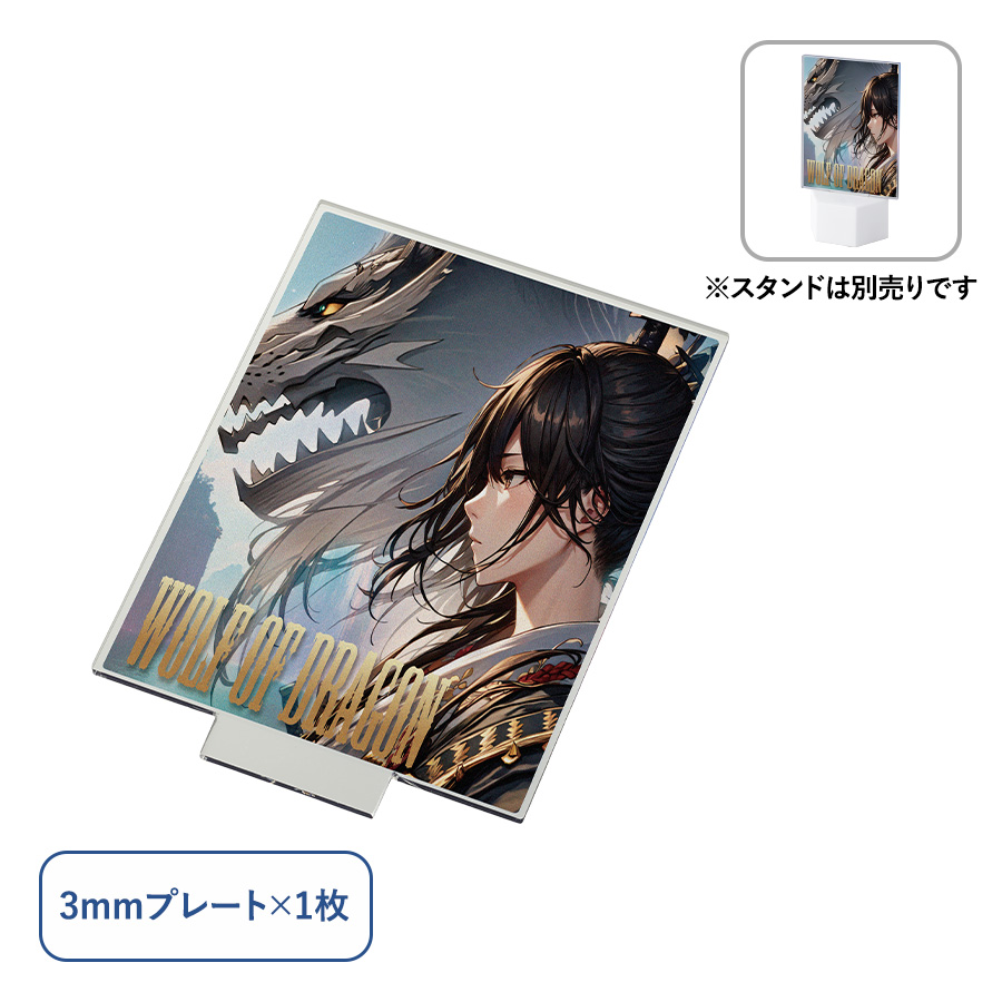 TZ-1032-004アクリルライティングスタンド六角用プレートL 3mm　クリア