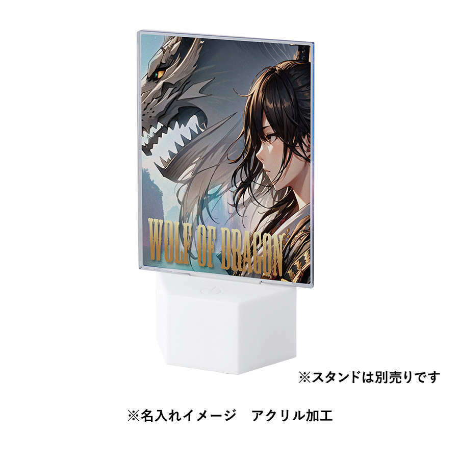 アクリルライティングスタンド六角用プレートL 3mm　クリア