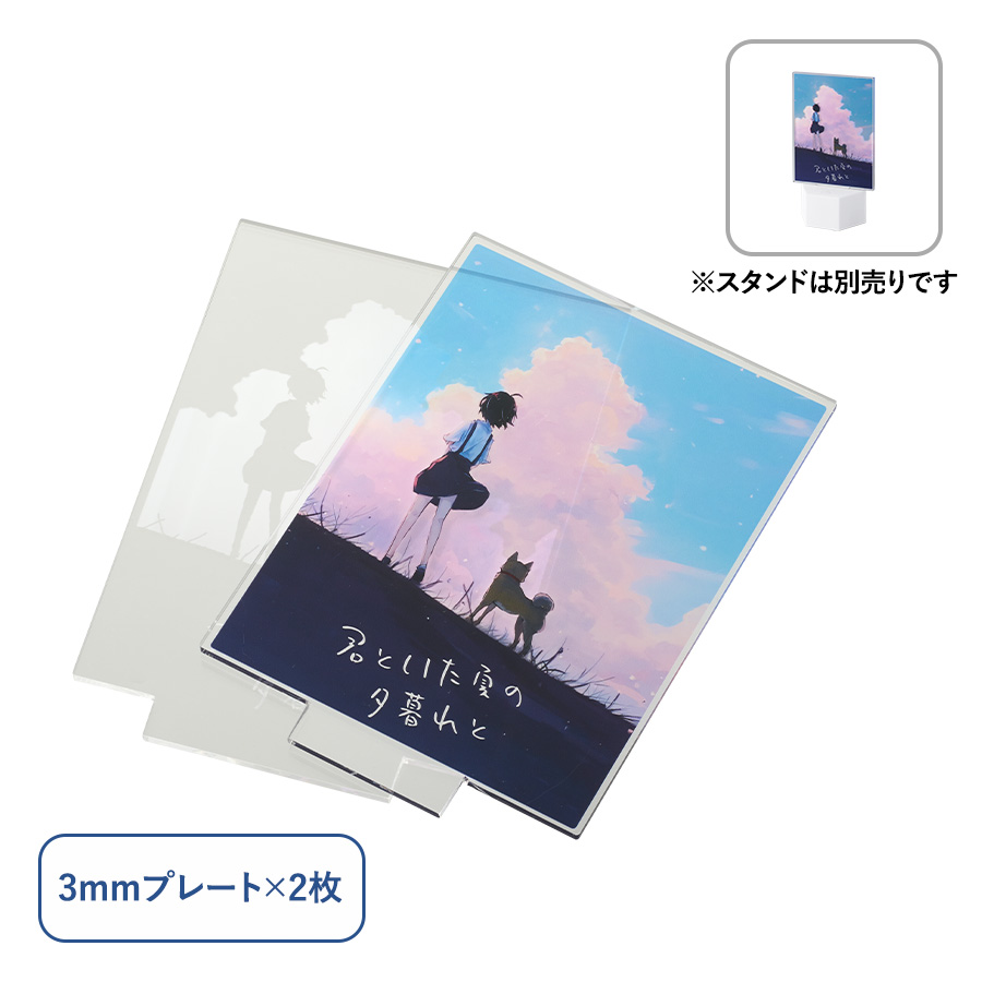 TZ-1033-004アクリルライティングスタンド六角用プレートL 3mm×2枚　クリア