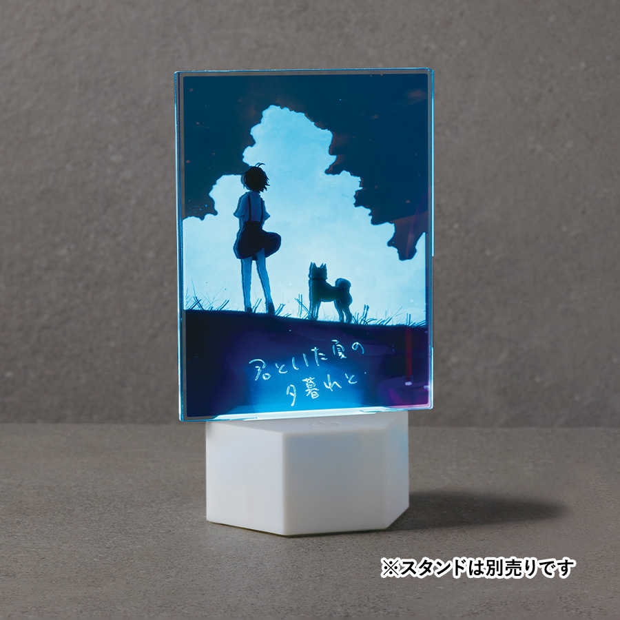 アクリルライティングスタンド六角用プレートL 3mm×2枚　クリア