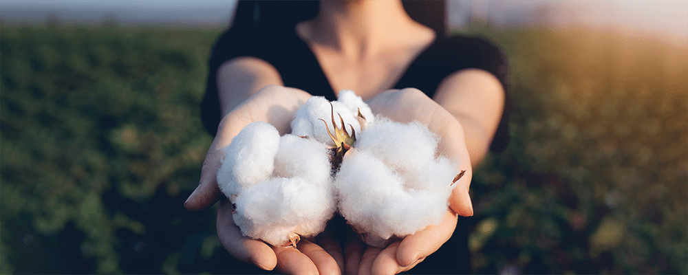 オーガニックコットンとは？メリット・デメリットとは？SDGsとも関連の深い素材を解説！