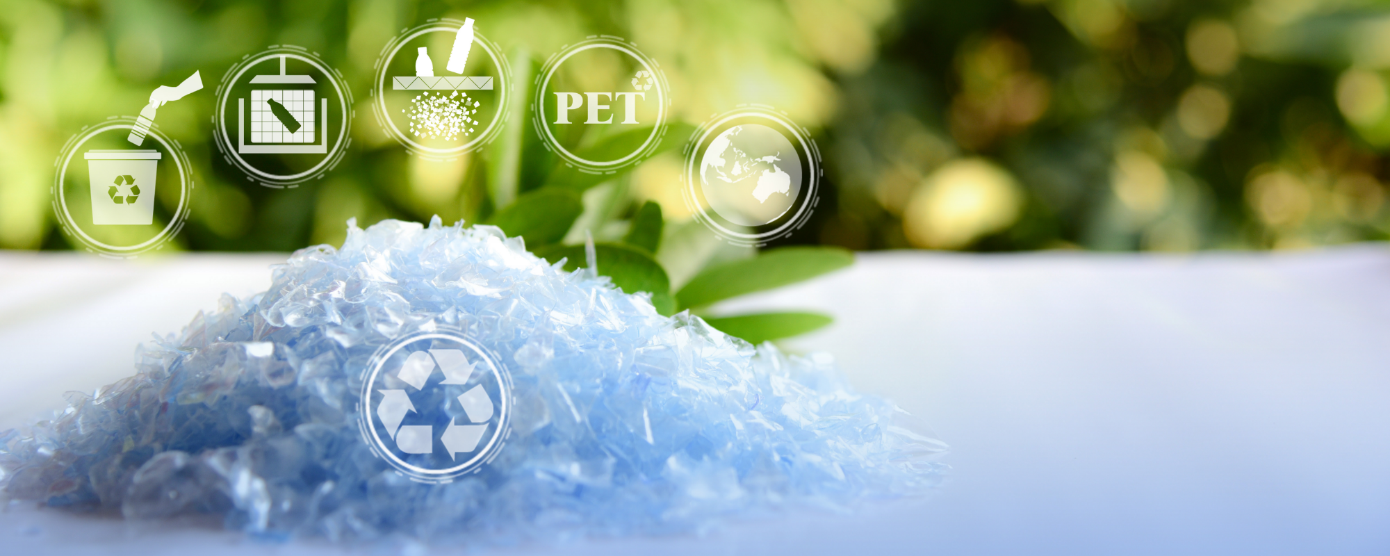 サステナブル素材の再生PETとは？特徴やSDGs・環境配慮との関係を解説