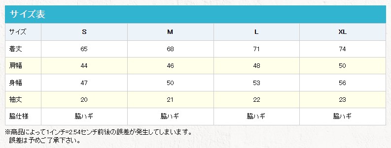 ポリエステルTシャツ