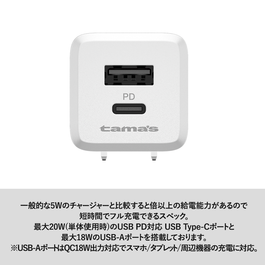 PD20Ｗコンセントチャージャー C+A