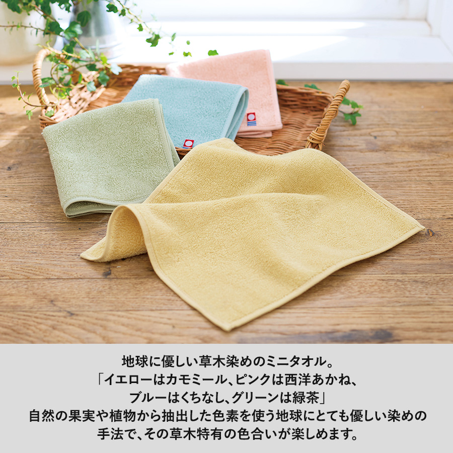 今治草木カラーミニタオル