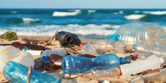 海洋プラスチックの削減になる