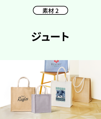 機能2 クリップタイプ